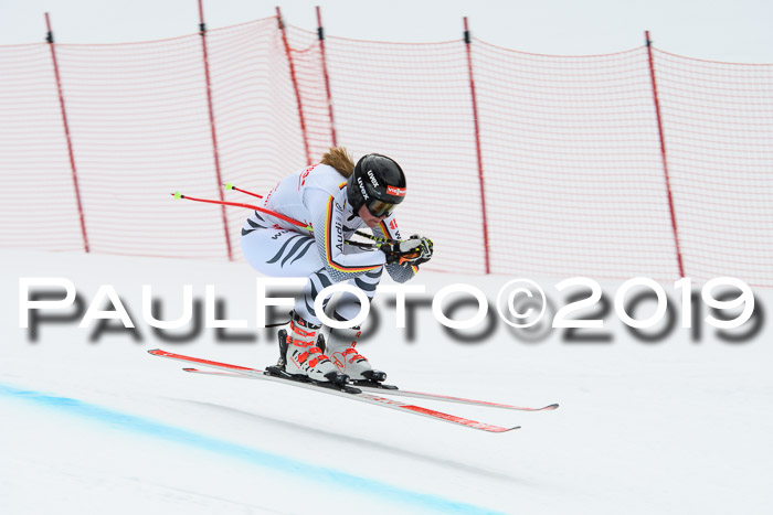 FIS, Int. Dt. Meisterschaft Abfahrt, Training, Damen + Herren, 19.03.2019