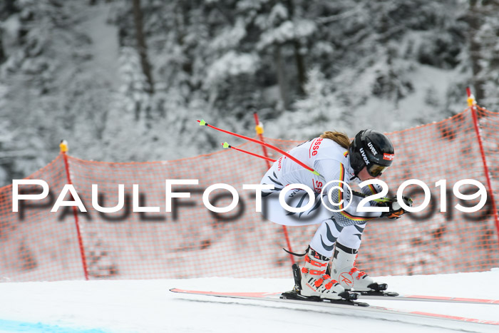 FIS, Int. Dt. Meisterschaft Abfahrt, Training, Damen + Herren, 19.03.2019