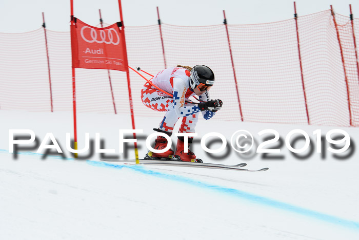 FIS, Int. Dt. Meisterschaft Abfahrt, Training, Damen + Herren, 19.03.2019