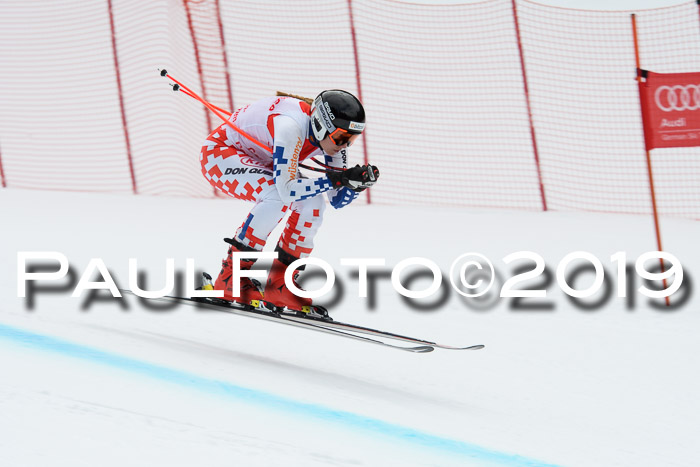 FIS, Int. Dt. Meisterschaft Abfahrt, Training, Damen + Herren, 19.03.2019