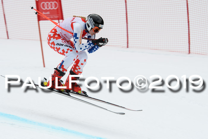 FIS, Int. Dt. Meisterschaft Abfahrt, Training, Damen + Herren, 19.03.2019