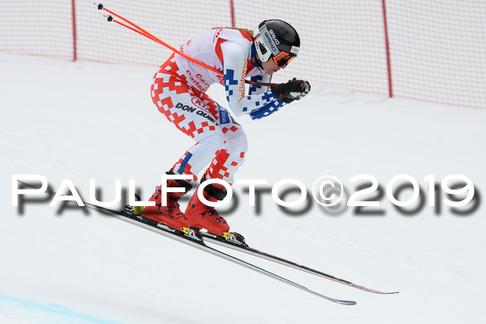 FIS, Int. Dt. Meisterschaft Abfahrt, Training, Damen + Herren, 19.03.2019