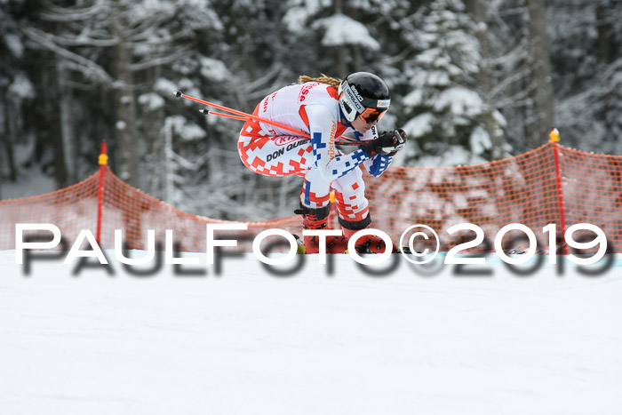 FIS, Int. Dt. Meisterschaft Abfahrt, Training, Damen + Herren, 19.03.2019