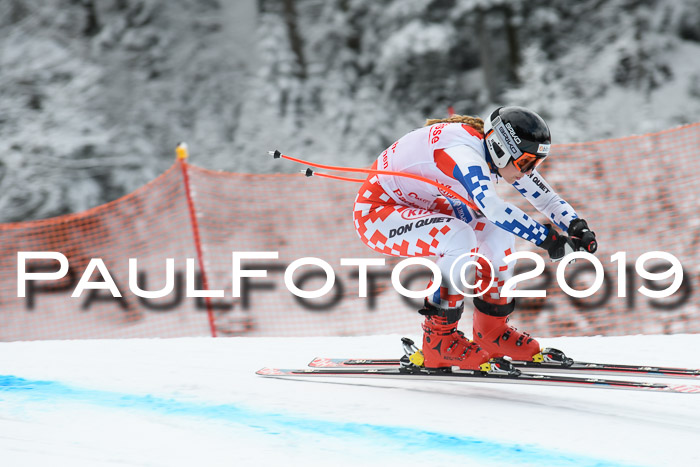 FIS, Int. Dt. Meisterschaft Abfahrt, Training, Damen + Herren, 19.03.2019