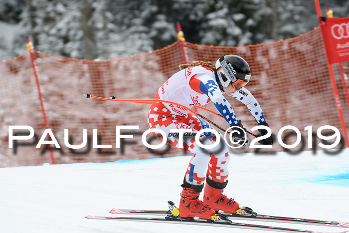 FIS, Int. Dt. Meisterschaft Abfahrt, Training, Damen + Herren, 19.03.2019