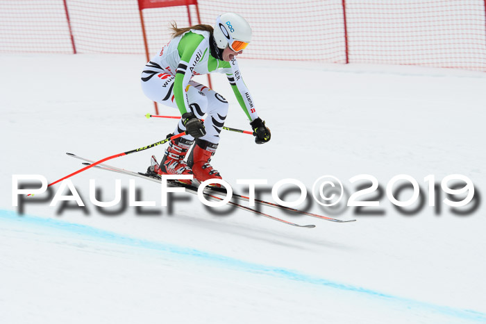 FIS, Int. Dt. Meisterschaft Abfahrt, Training, Damen + Herren, 19.03.2019