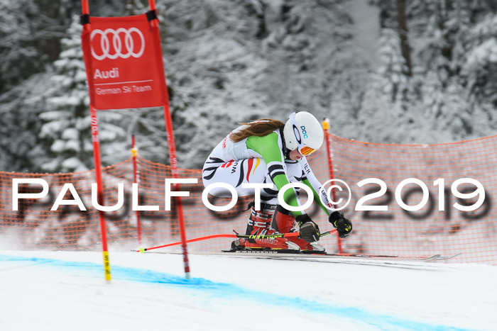 FIS, Int. Dt. Meisterschaft Abfahrt, Training, Damen + Herren, 19.03.2019