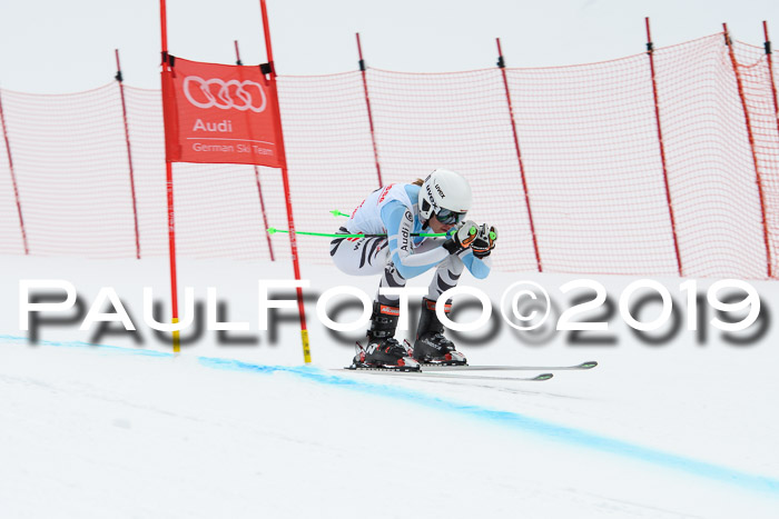 FIS, Int. Dt. Meisterschaft Abfahrt, Training, Damen + Herren, 19.03.2019