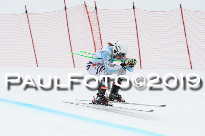 FIS, Int. Dt. Meisterschaft Abfahrt, Training, Damen + Herren, 19.03.2019