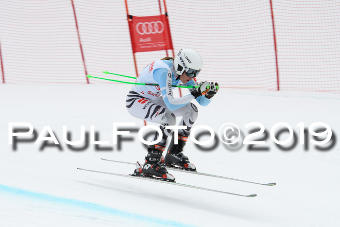 FIS, Int. Dt. Meisterschaft Abfahrt, Training, Damen + Herren, 19.03.2019
