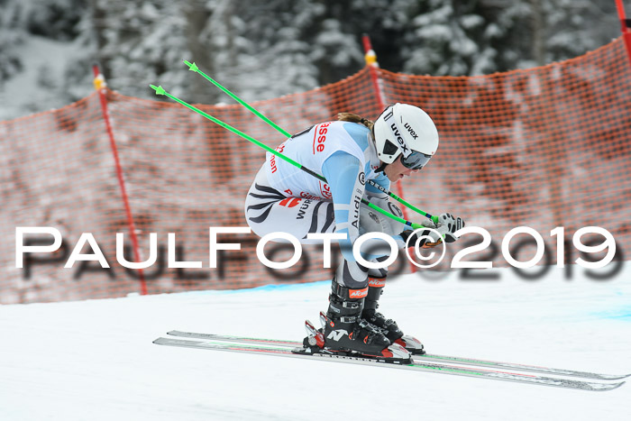 FIS, Int. Dt. Meisterschaft Abfahrt, Training, Damen + Herren, 19.03.2019