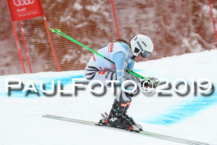 FIS, Int. Dt. Meisterschaft Abfahrt, Training, Damen + Herren, 19.03.2019