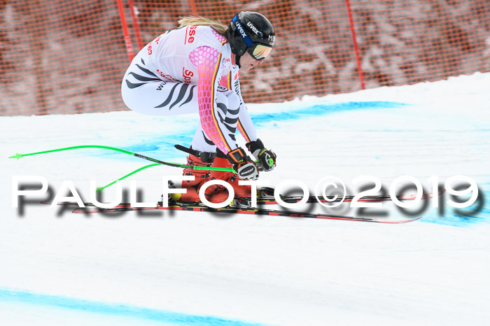 FIS, Int. Dt. Meisterschaft Abfahrt, Training, Damen + Herren, 19.03.2019