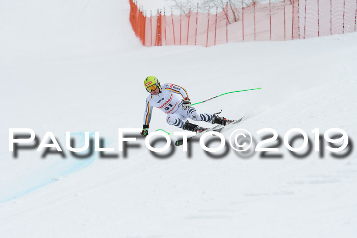 FIS, Int. Dt. Meisterschaft Abfahrt, Training, Damen + Herren, 19.03.2019