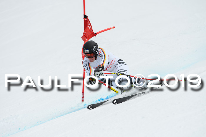 FIS, Int. Dt. Meisterschaft Abfahrt, Training, Damen + Herren, 19.03.2019