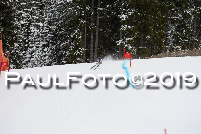 FIS, Int. Dt. Meisterschaft Abfahrt, Training, Damen + Herren, 19.03.2019