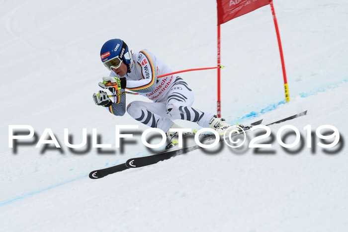 FIS, Int. Dt. Meisterschaft Abfahrt, Training, Damen + Herren, 19.03.2019
