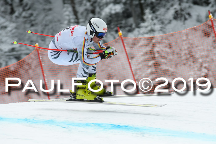 FIS, Int. Dt. Meisterschaft Abfahrt, Training, Damen + Herren, 19.03.2019