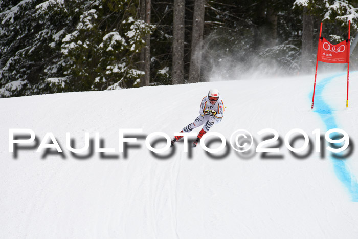 FIS, Int. Dt. Meisterschaft Abfahrt, Training, Damen + Herren, 19.03.2019
