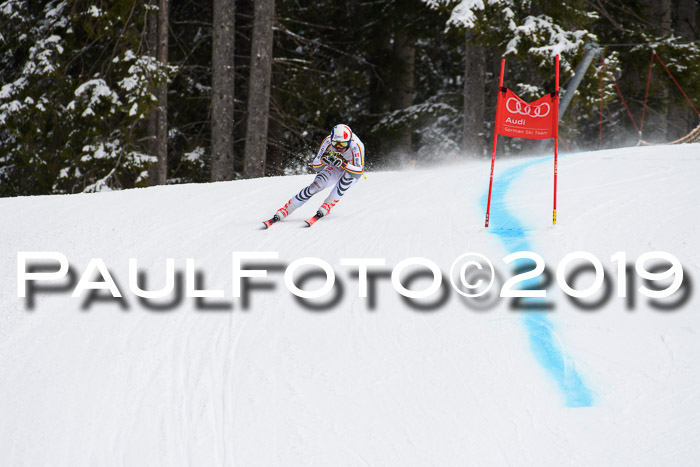 FIS, Int. Dt. Meisterschaft Abfahrt, Training, Damen + Herren, 19.03.2019