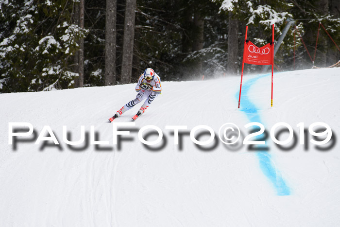 FIS, Int. Dt. Meisterschaft Abfahrt, Training, Damen + Herren, 19.03.2019