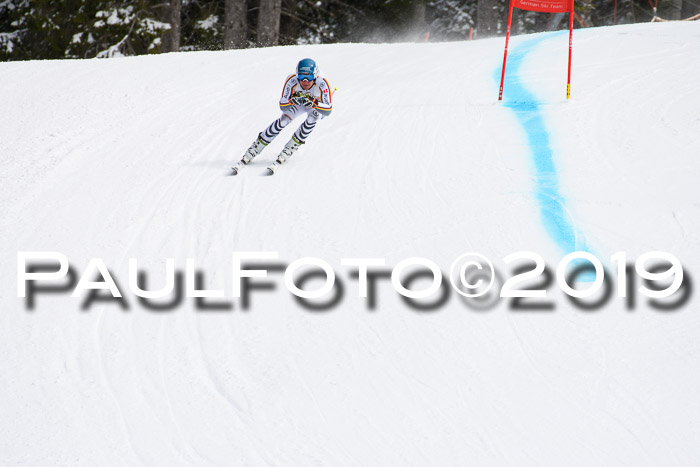 FIS, Int. Dt. Meisterschaft Abfahrt, Training, Damen + Herren, 19.03.2019