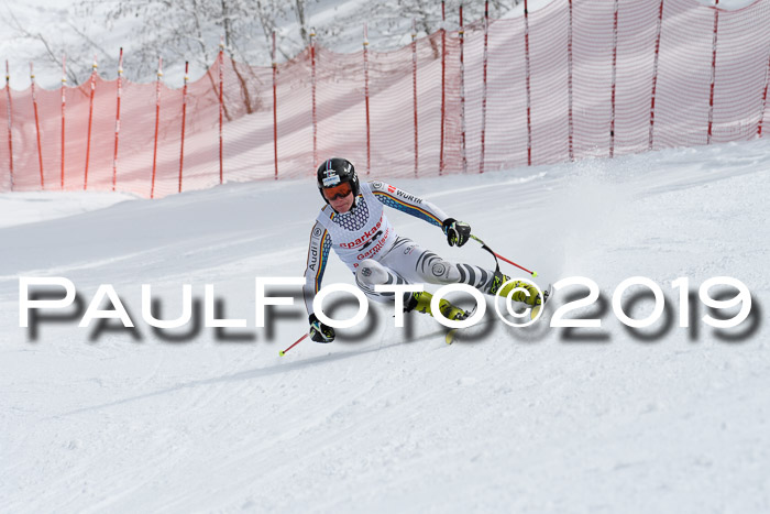 FIS, Int. Dt. Meisterschaft Abfahrt, Training, Damen + Herren, 19.03.2019