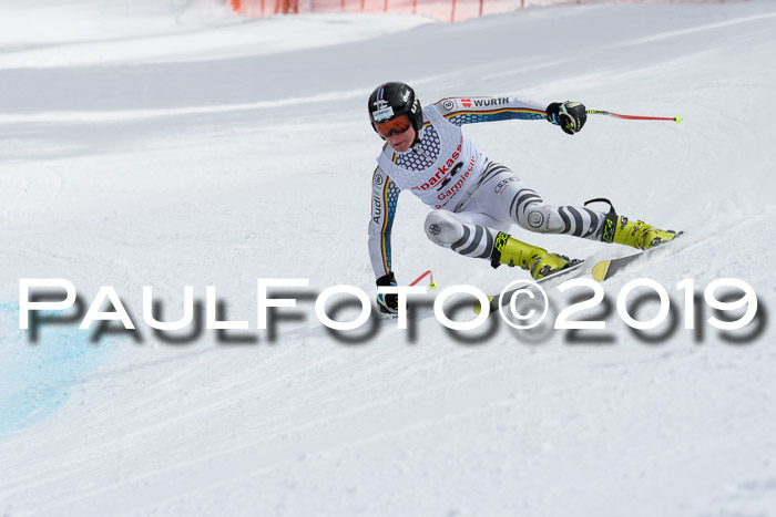 FIS, Int. Dt. Meisterschaft Abfahrt, Training, Damen + Herren, 19.03.2019