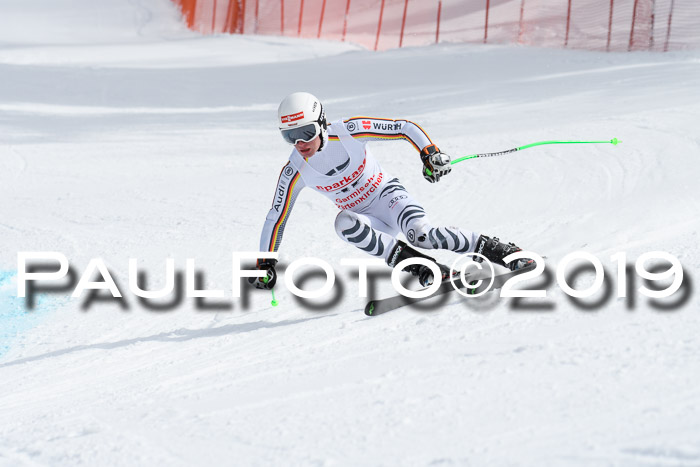 FIS, Int. Dt. Meisterschaft Abfahrt, Training, Damen + Herren, 19.03.2019