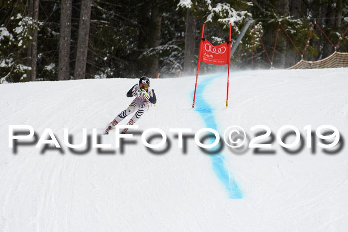 FIS, Int. Dt. Meisterschaft Abfahrt, Training, Damen + Herren, 19.03.2019