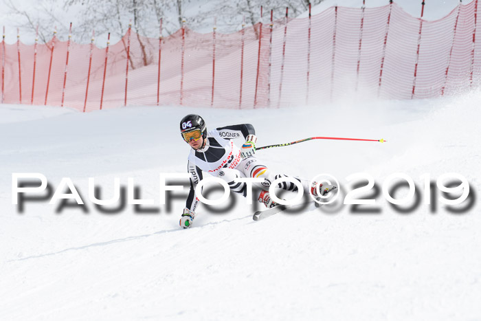 FIS, Int. Dt. Meisterschaft Abfahrt, Training, Damen + Herren, 19.03.2019