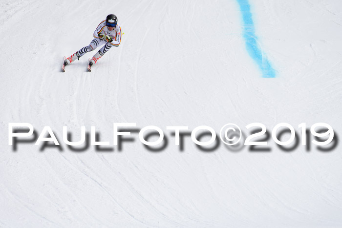 FIS, Int. Dt. Meisterschaft Abfahrt, Training, Damen + Herren, 19.03.2019
