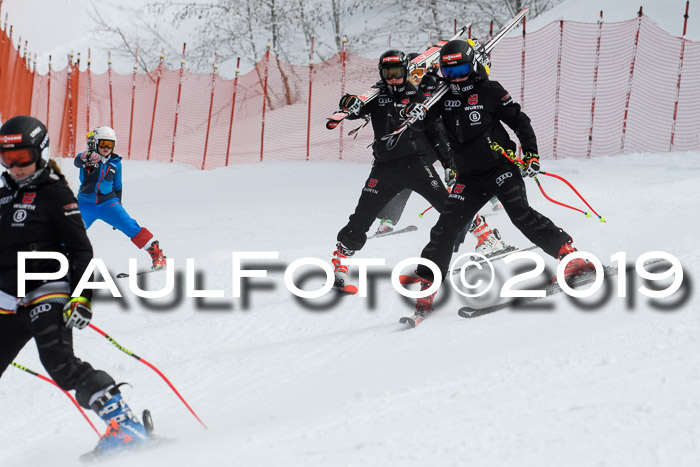 FIS, Int. Dt. Meisterschaft Abfahrt, Training, Damen + Herren, 19.03.2019