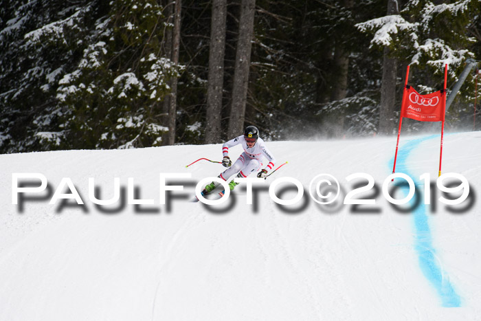 FIS, Int. Dt. Meisterschaft Abfahrt, Training, Damen + Herren, 19.03.2019