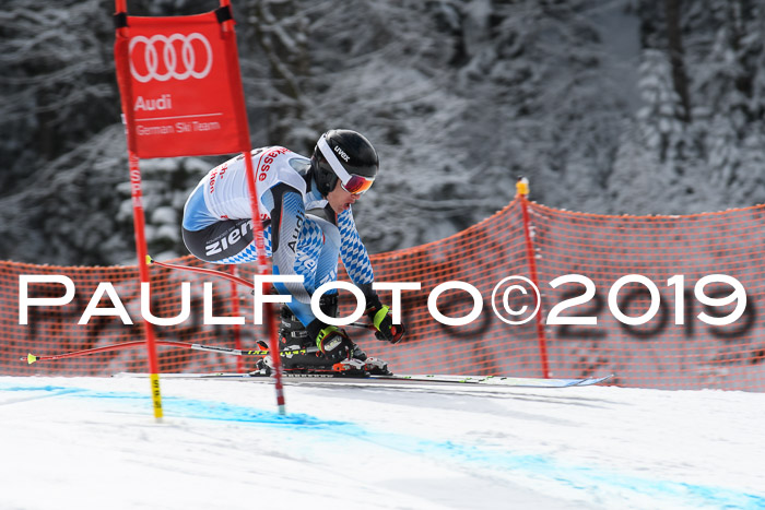 FIS, Int. Dt. Meisterschaft Abfahrt, Training, Damen + Herren, 19.03.2019