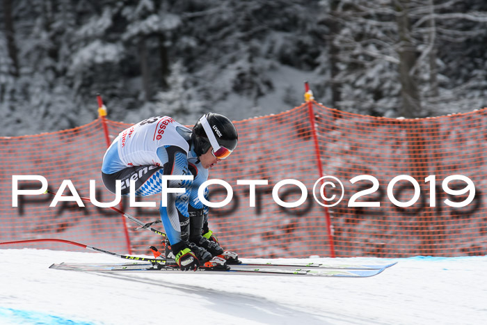 FIS, Int. Dt. Meisterschaft Abfahrt, Training, Damen + Herren, 19.03.2019