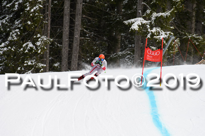 FIS, Int. Dt. Meisterschaft Abfahrt, Training, Damen + Herren, 19.03.2019