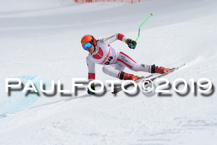FIS, Int. Dt. Meisterschaft Abfahrt, Training, Damen + Herren, 19.03.2019