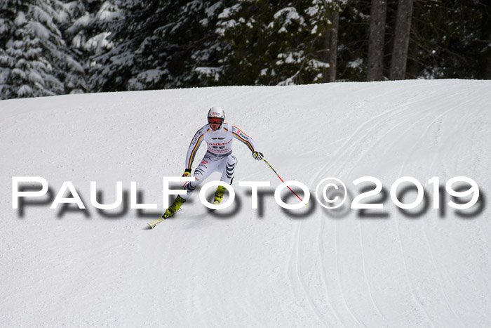 FIS, Int. Dt. Meisterschaft Abfahrt, Training, Damen + Herren, 19.03.2019