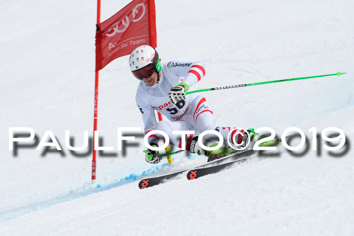FIS, Int. Dt. Meisterschaft Abfahrt, Training, Damen + Herren, 19.03.2019