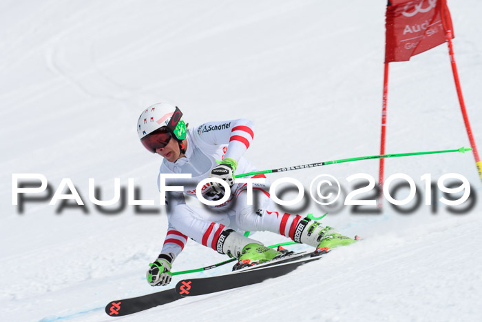 FIS, Int. Dt. Meisterschaft Abfahrt, Training, Damen + Herren, 19.03.2019