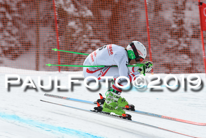 FIS, Int. Dt. Meisterschaft Abfahrt, Training, Damen + Herren, 19.03.2019