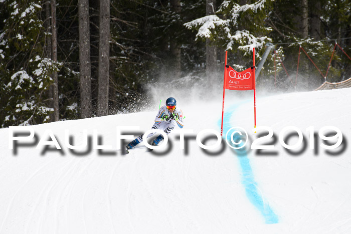 FIS, Int. Dt. Meisterschaft Abfahrt, Training, Damen + Herren, 19.03.2019