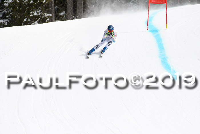 FIS, Int. Dt. Meisterschaft Abfahrt, Training, Damen + Herren, 19.03.2019
