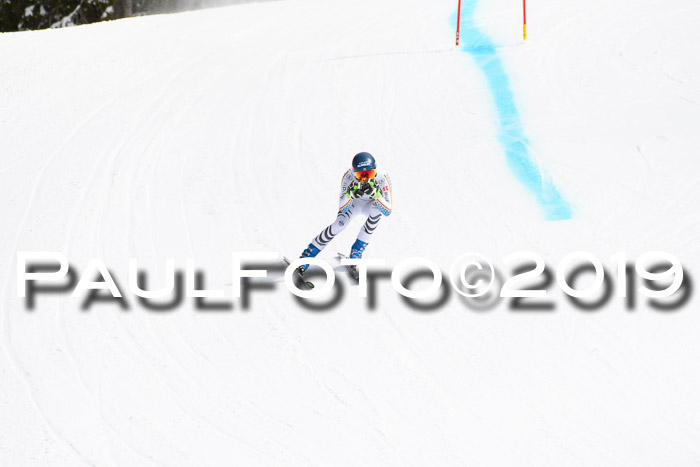 FIS, Int. Dt. Meisterschaft Abfahrt, Training, Damen + Herren, 19.03.2019