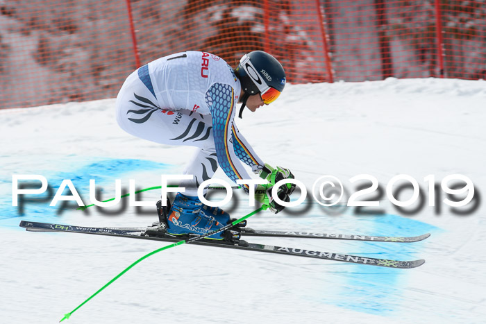 FIS, Int. Dt. Meisterschaft Abfahrt, Training, Damen + Herren, 19.03.2019