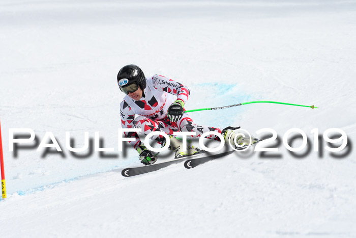 FIS, Int. Dt. Meisterschaft Abfahrt, Training, Damen + Herren, 19.03.2019