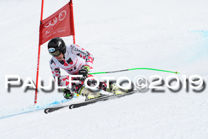 FIS, Int. Dt. Meisterschaft Abfahrt, Training, Damen + Herren, 19.03.2019