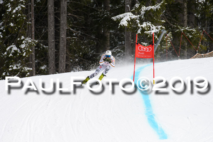 FIS, Int. Dt. Meisterschaft Abfahrt, Training, Damen + Herren, 19.03.2019
