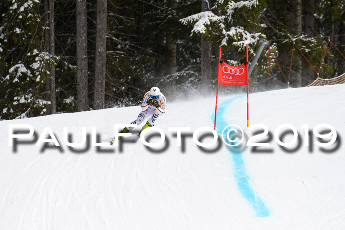 FIS, Int. Dt. Meisterschaft Abfahrt, Training, Damen + Herren, 19.03.2019